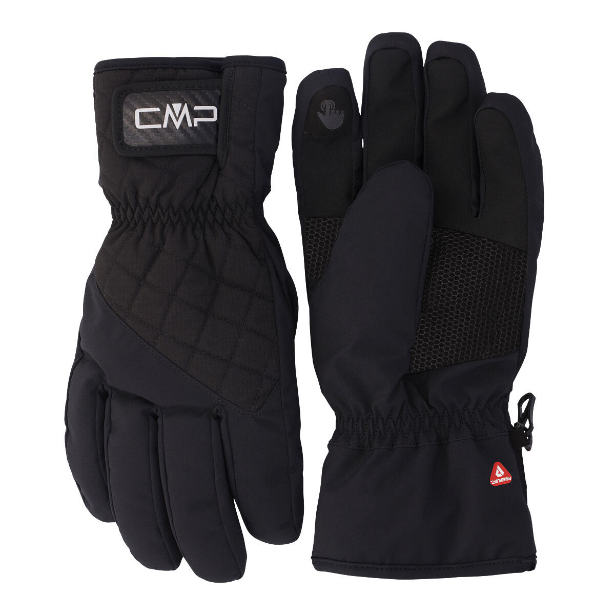CMP picture