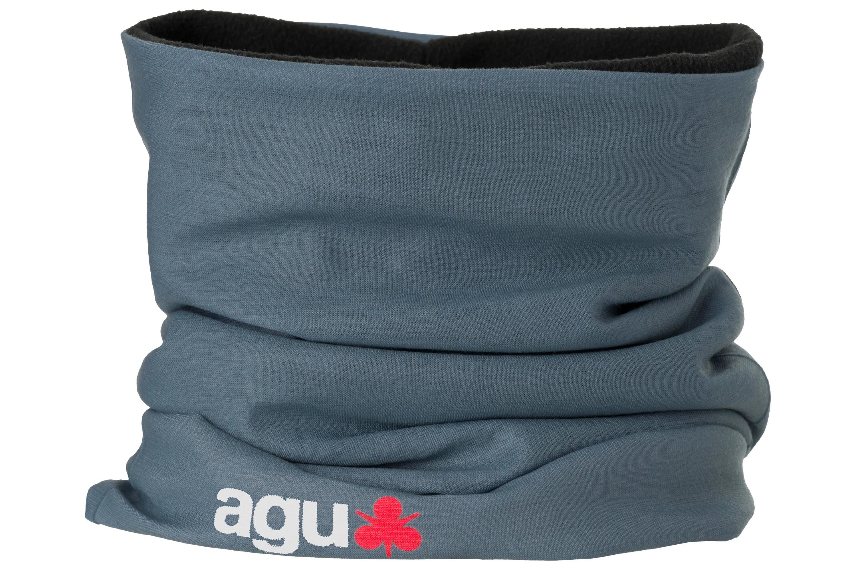 AGU picture