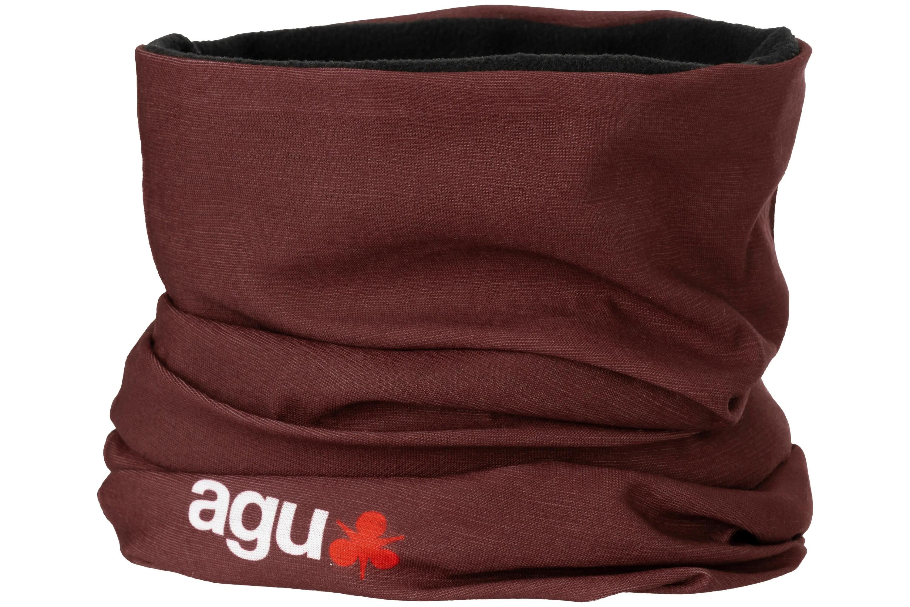 AGU picture