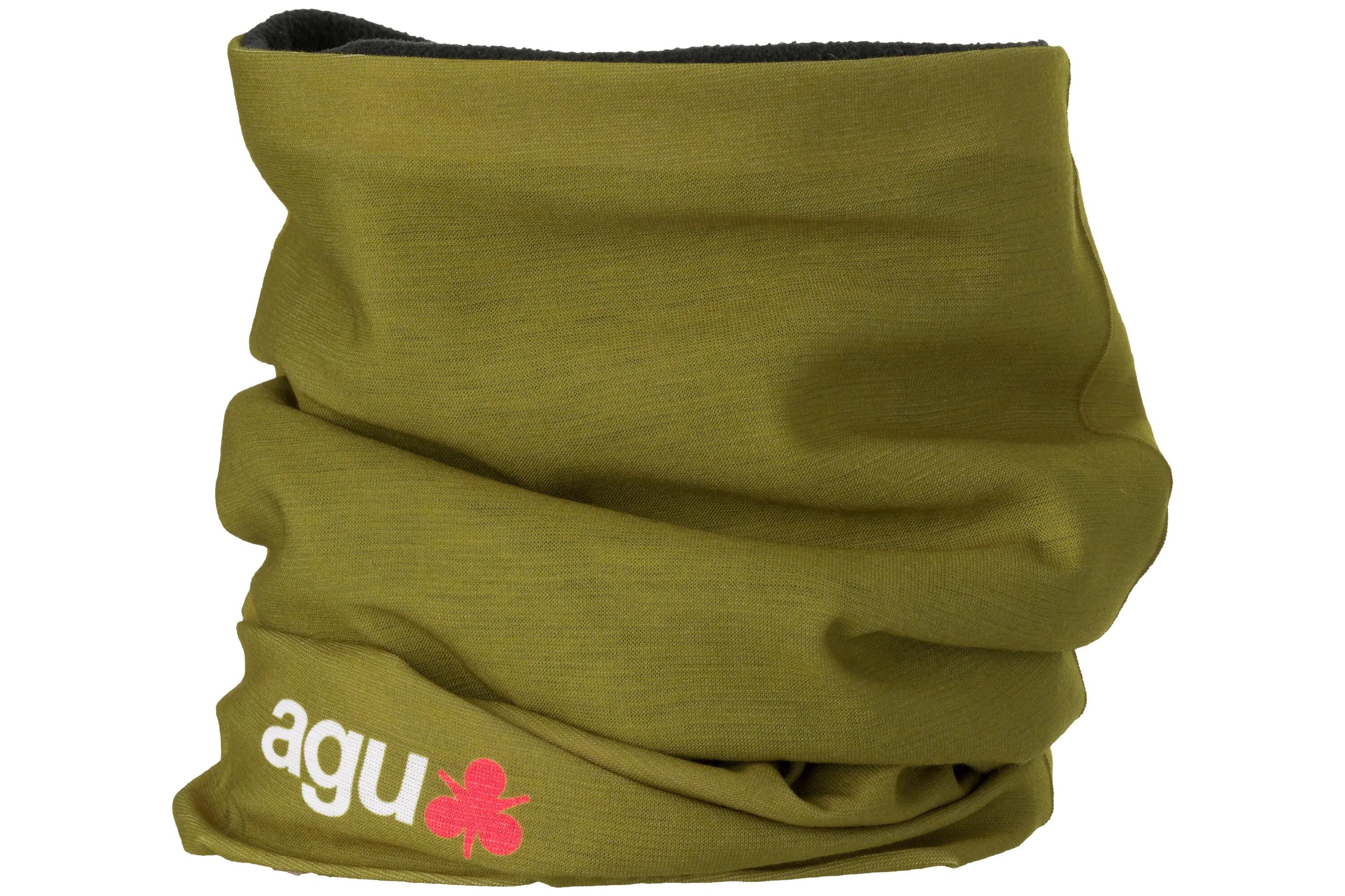 AGU picture