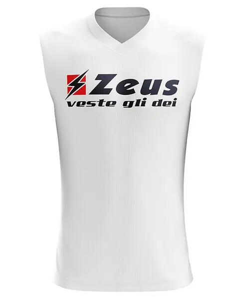 ZEUS picture