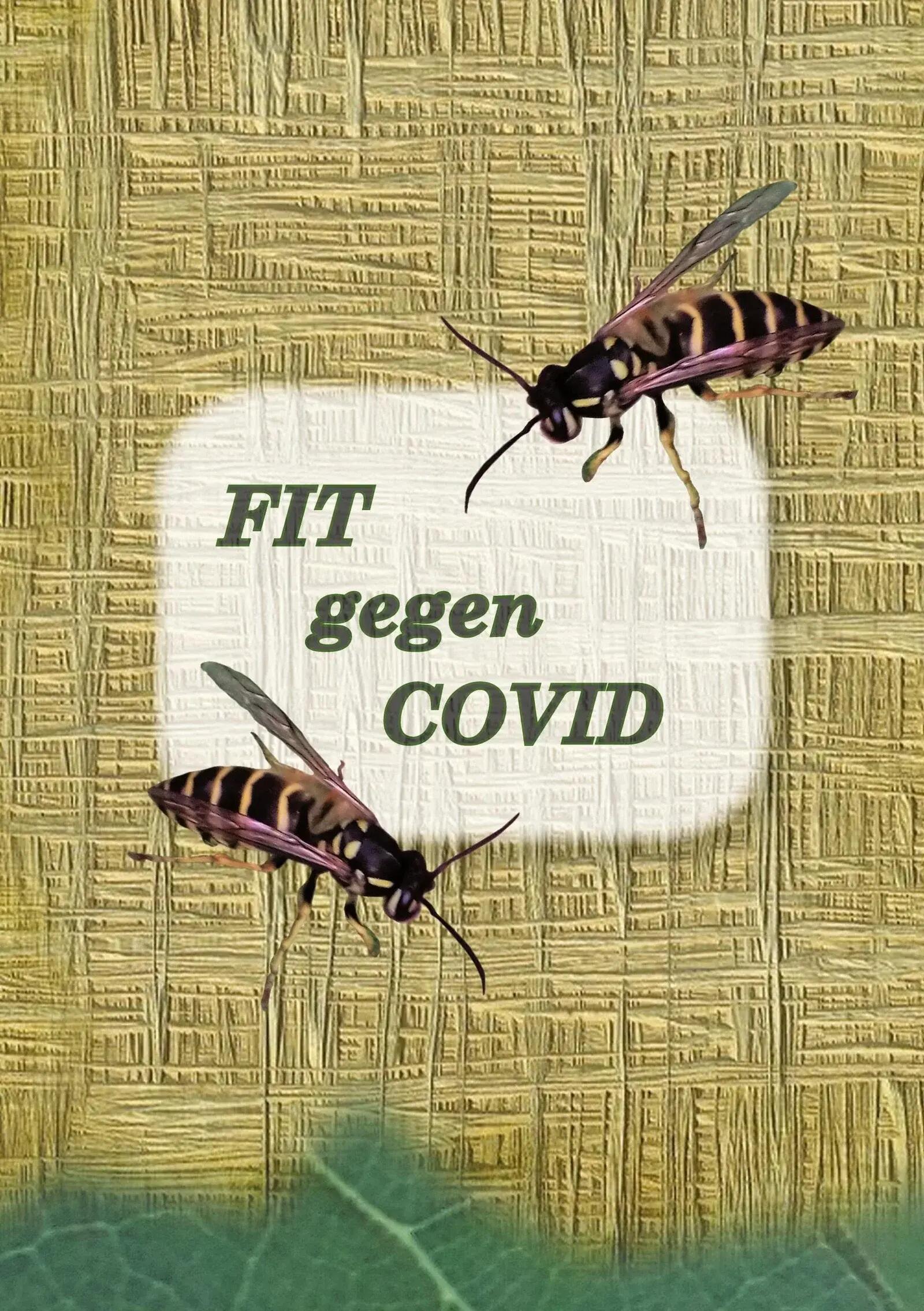 FIT gegen COVID - Guía práctica para fortalecer el sistema inmunológico 1/1