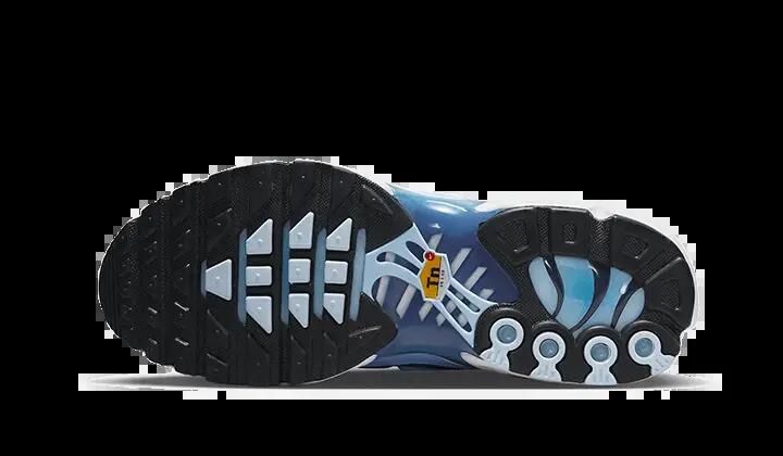 Schoenen - hardlopen - heren - air max plus - university blue 2/3