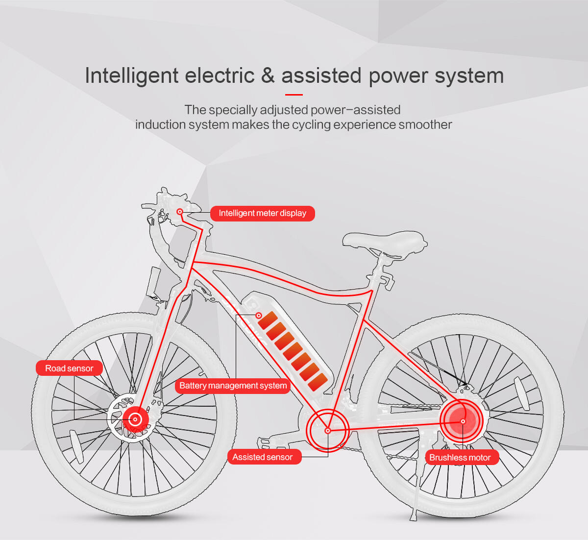 Bicicletta elettrica per adulti SAMEBIKE SY26-Ⅱ Batteria 36V13Ah Motore 250W 14/15