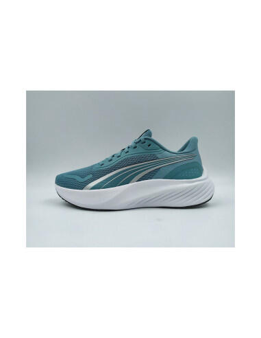 PUMA picture