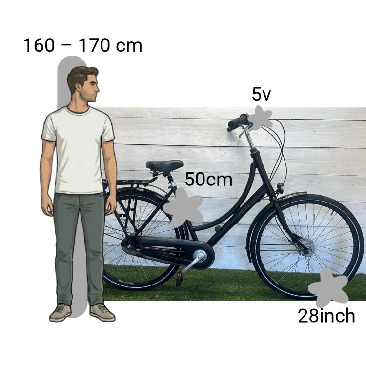 Bicicleta usada Batavus Diva 2/4