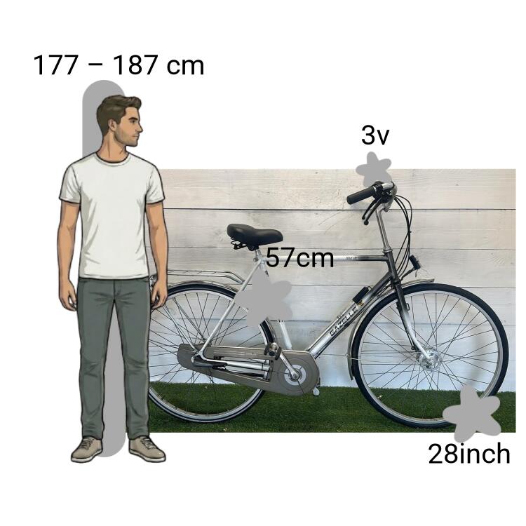 Tweedehands Gazelle Tour de France 2/4