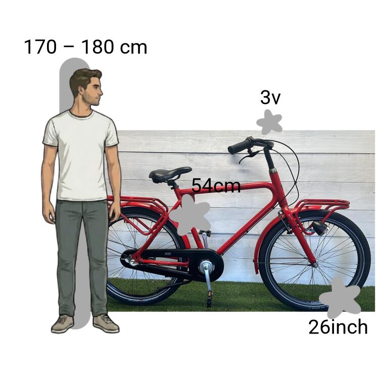 Bicicleta usada Batavus BUB 2/4