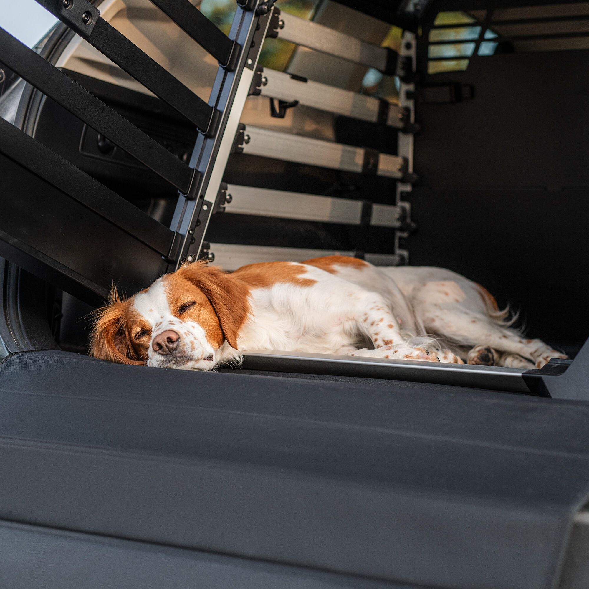 Chiens Accessoire Thule dog crate mat 3/4
