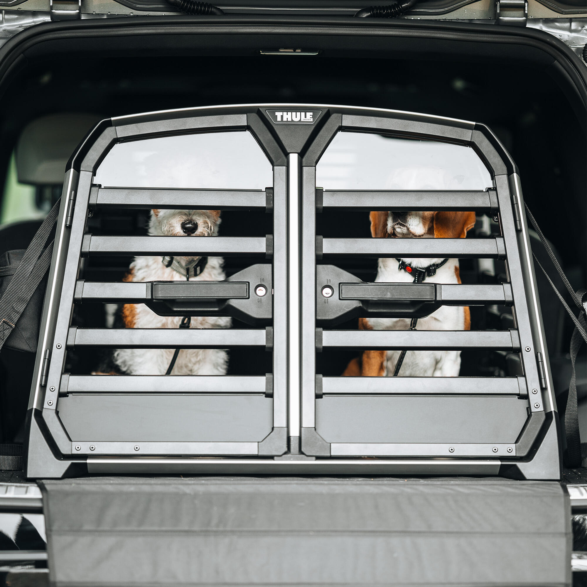 Caisse pour chien Thule Allax double 5/8