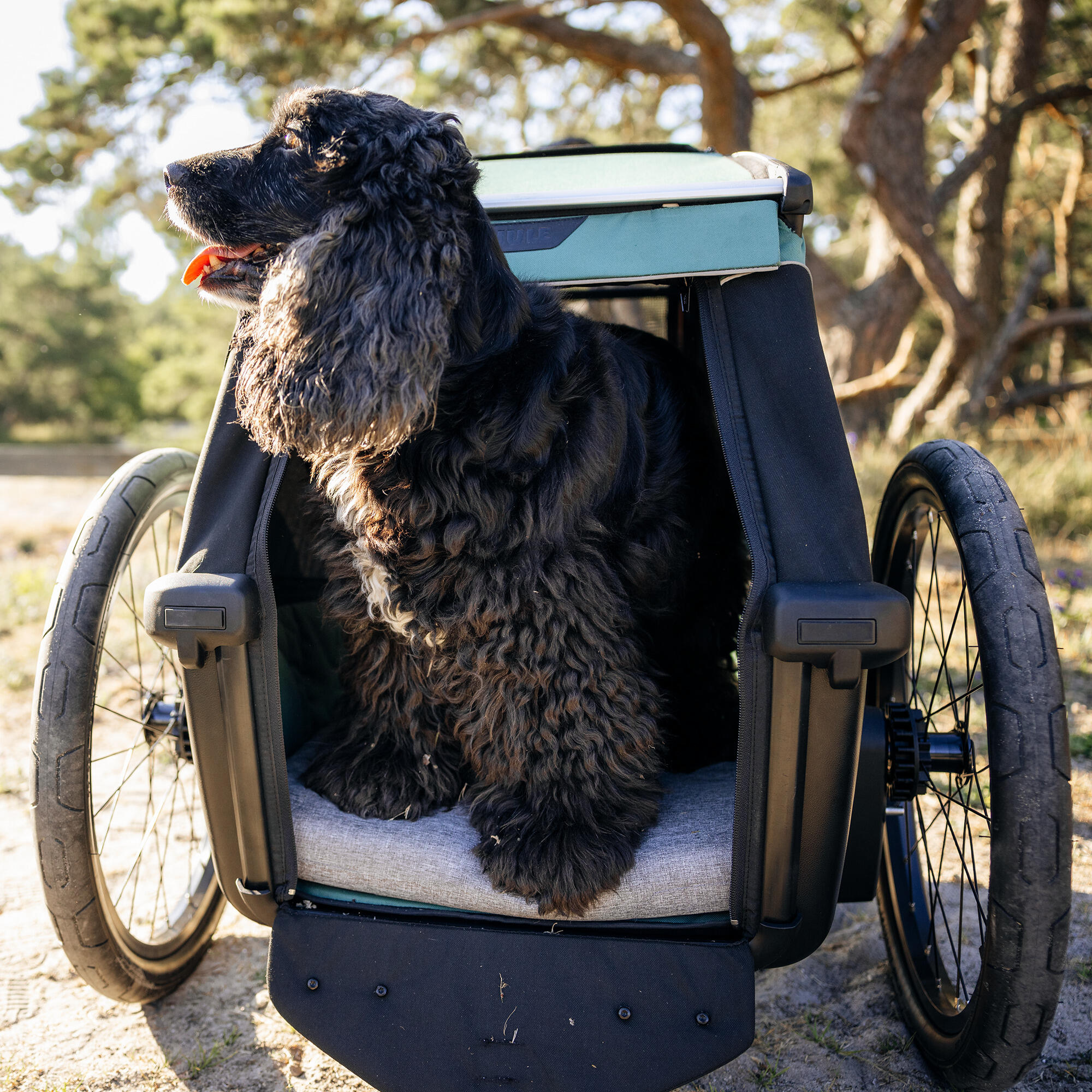 Remorque de vélo Thule Bexey 6/7