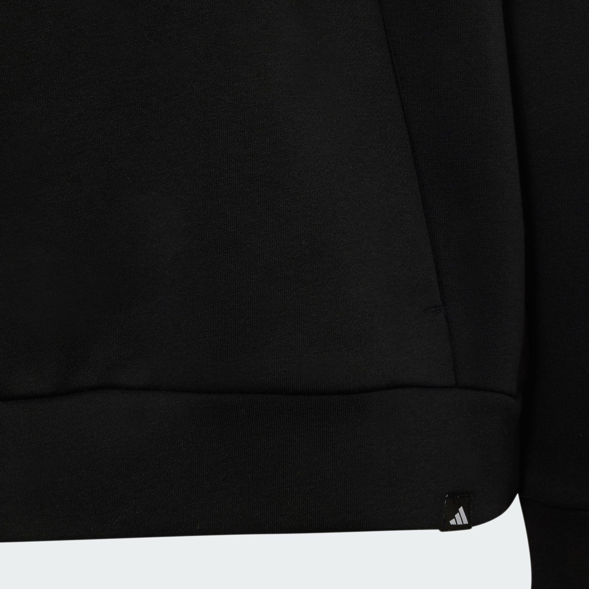 Sudadera con capucha MERCEDES - AMG PETRONAS FORMULA 1 TEAM LIGHTS ON 5/5