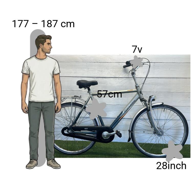 Bicicleta usada Gazelle Orange Plus 2/4