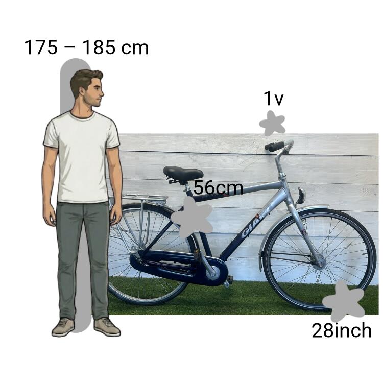 Bicicleta usada Giant Centro 2/4