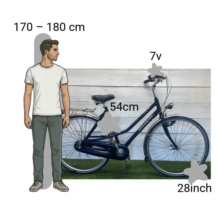 Bicicleta usada Gazelle Orange 2/4