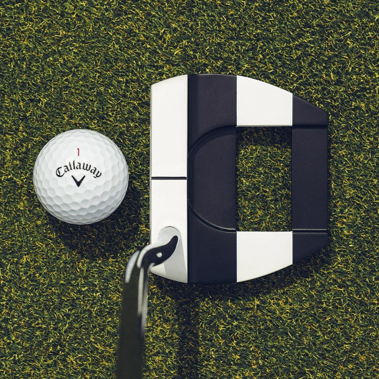 Ai-Dual Jailbird Mini Putter 2/4