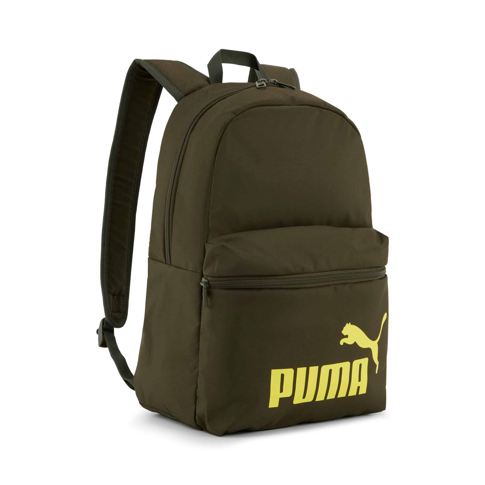 PUMA picture