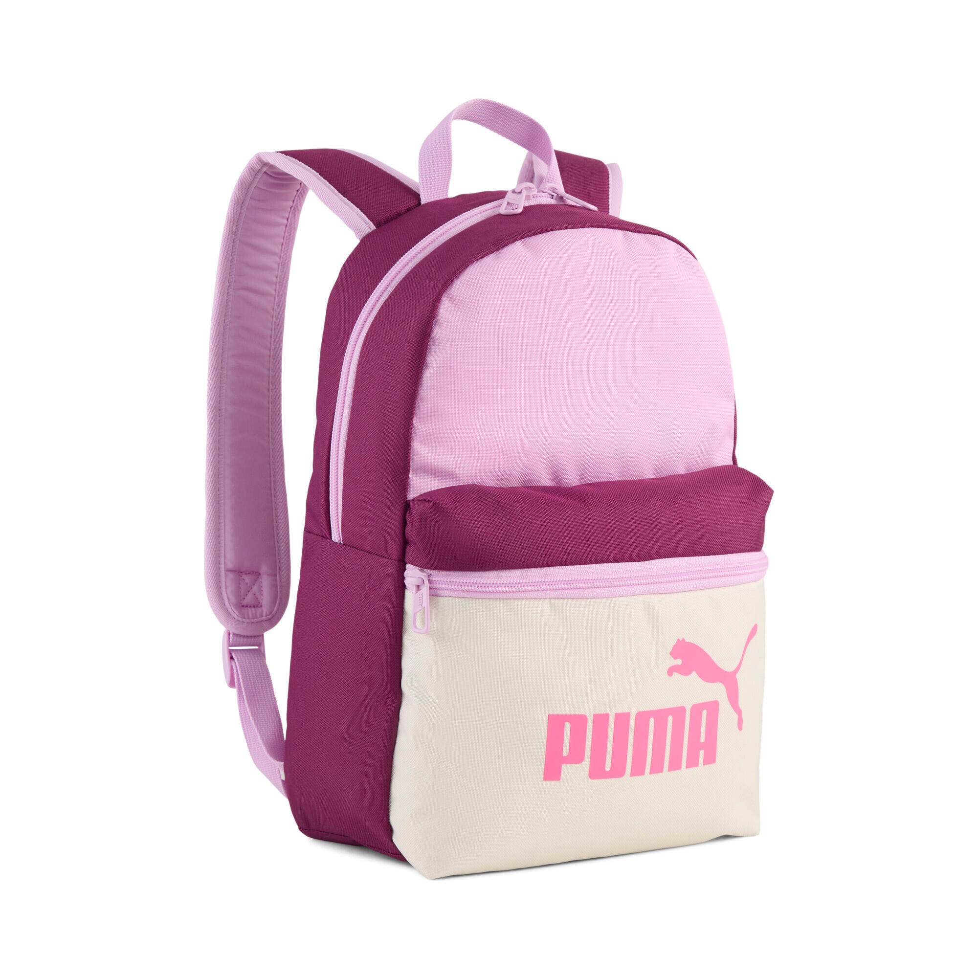 PUMA picture