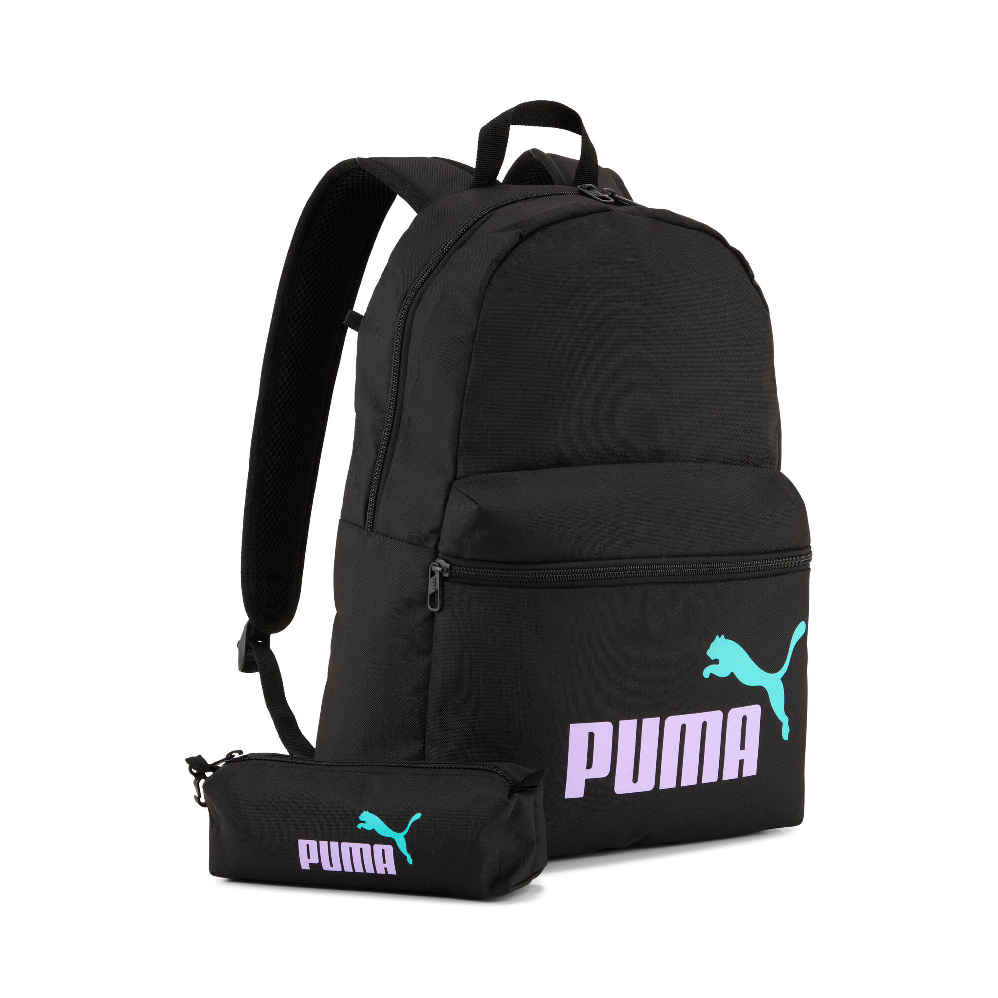 PUMA picture