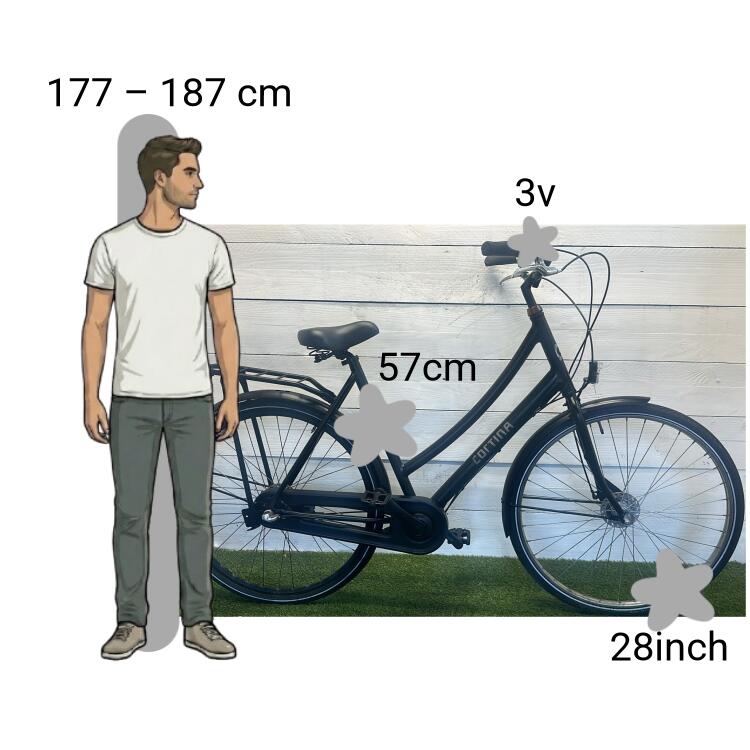 Bicicleta usada Cortina U1 2/4