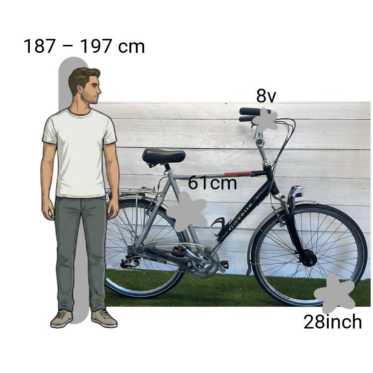 Bicicleta usada Gazelle Sportive 2/4