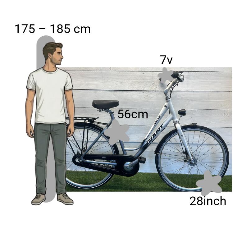 Bicicleta usada Giant Rico 2/4