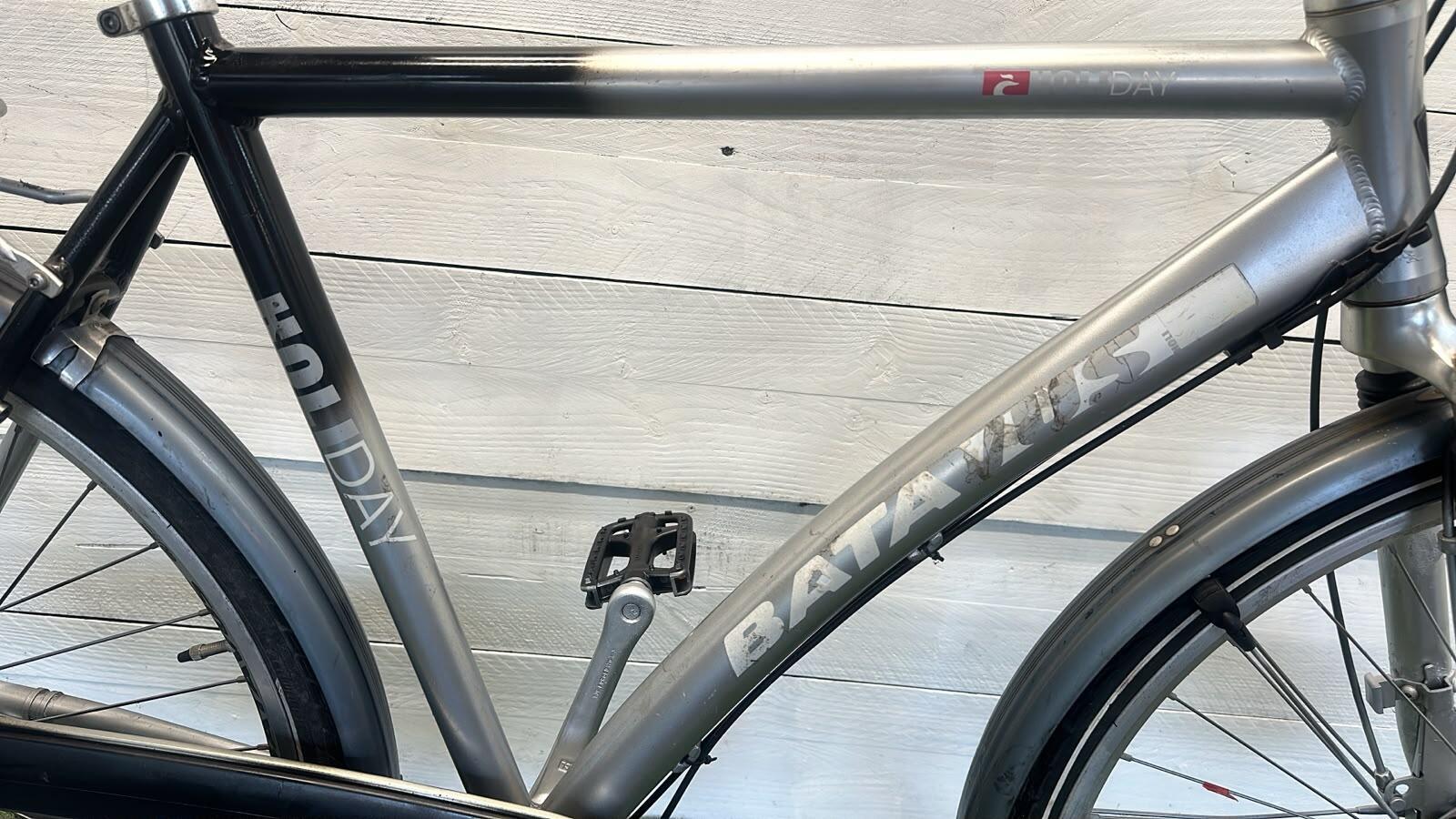 BATAVUS picture