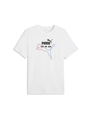 PUMA picture