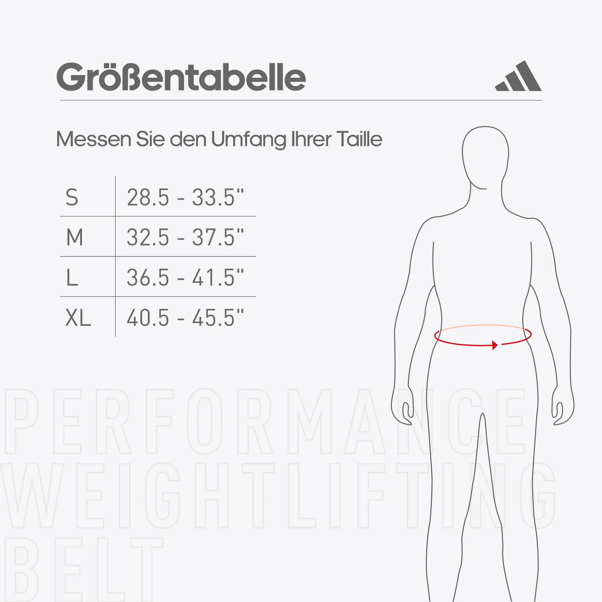 Performance Weightlifting Belt 9/9