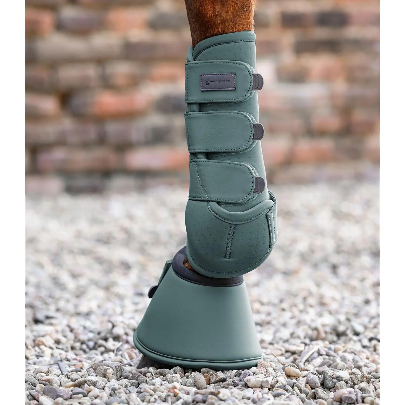 Guêtres pour cheville de cheval Waldhausen Health & Care 3/7