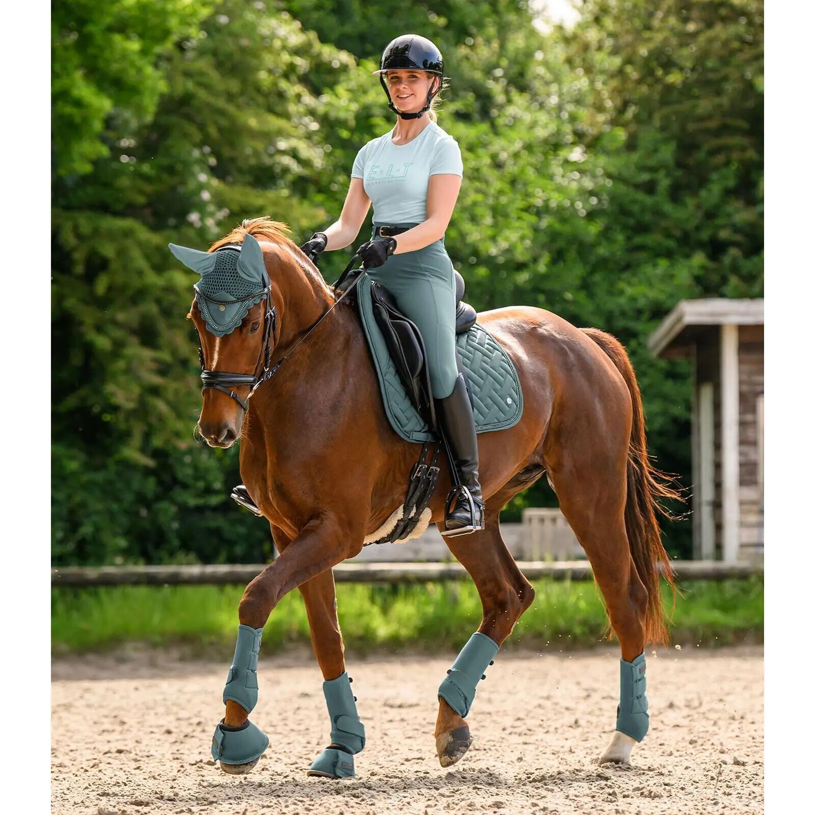Guêtres pour cheville de cheval Waldhausen Health & Care 5/7