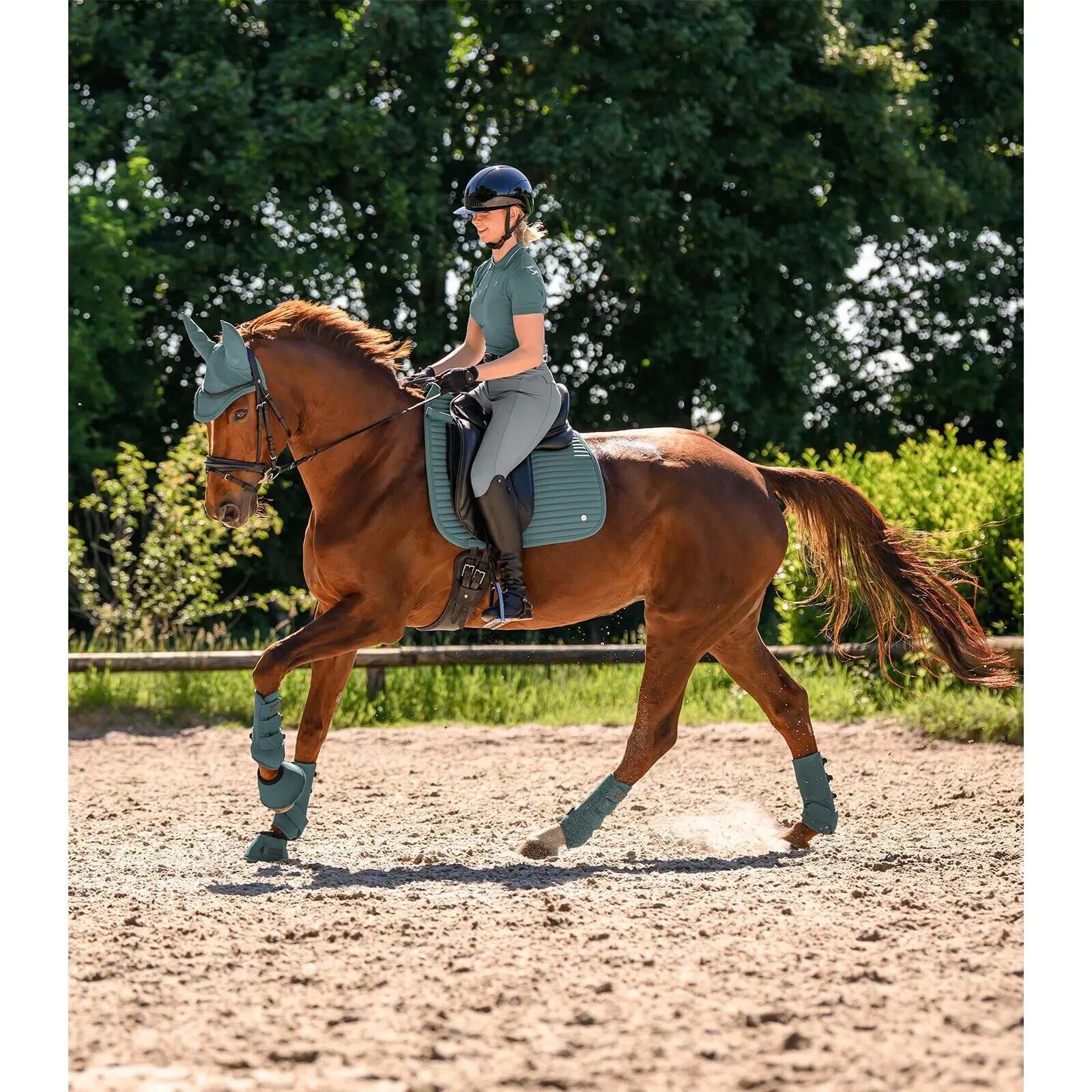 Guêtres pour cheville de cheval Waldhausen Health & Care 7/7