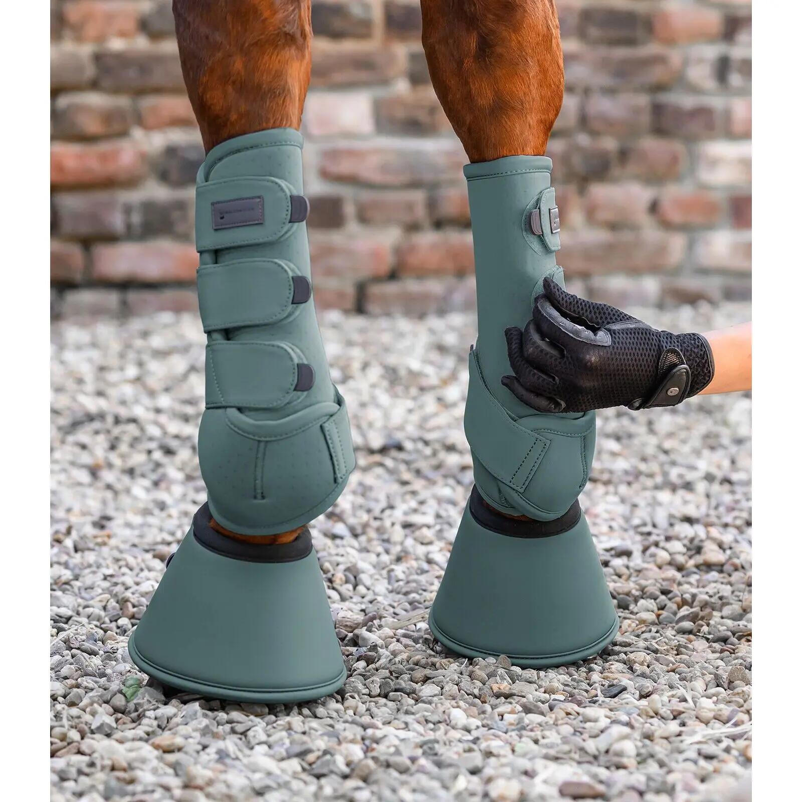Guêtres pour cheville de cheval Waldhausen Health & Care 4/7