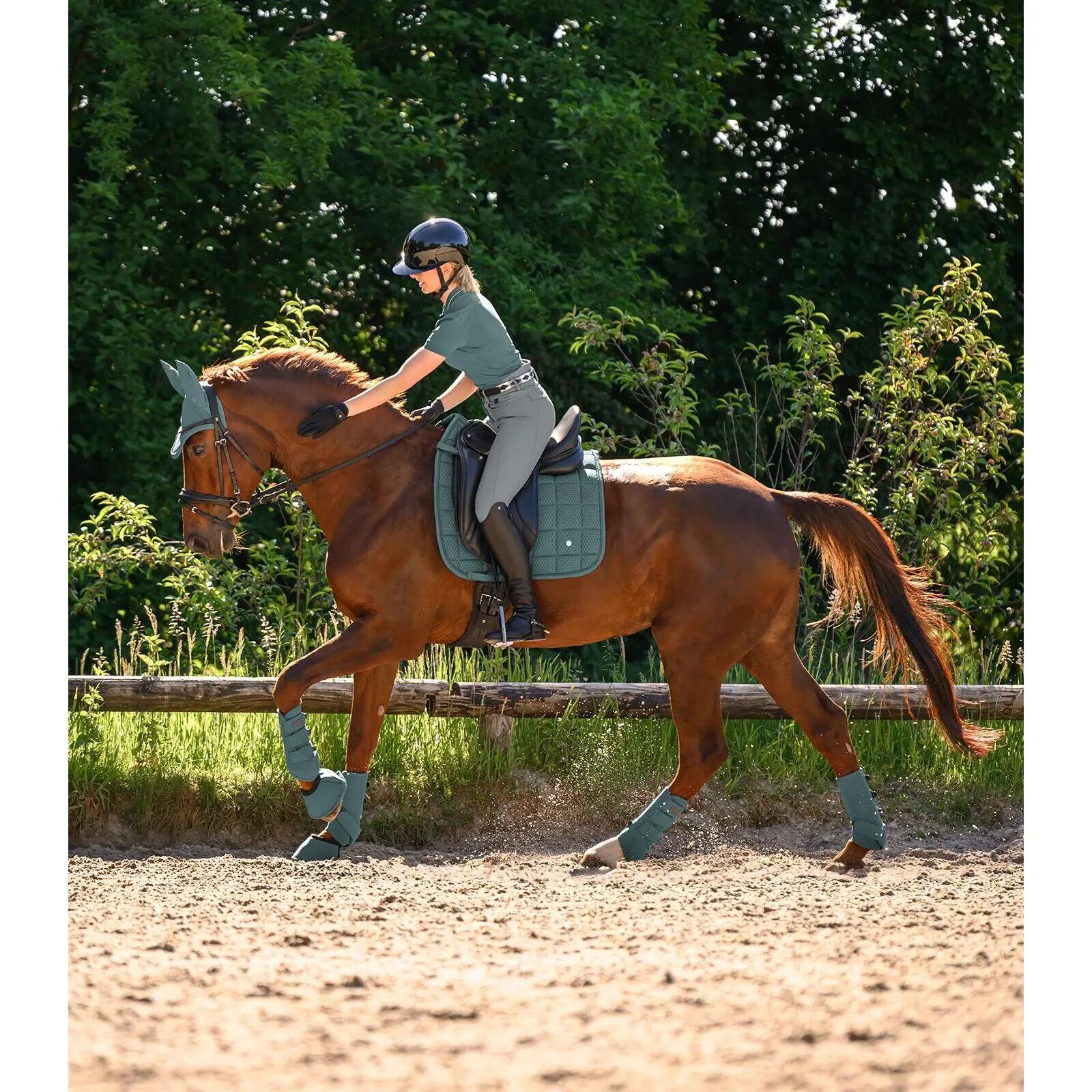 Guêtres pour cheville de cheval Waldhausen Health & Care 6/7