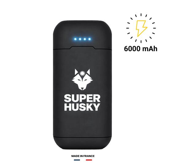 Batterie externe 6000 mAh PB600