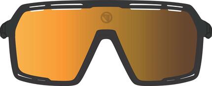 Lunettes Endura Pro SL Noir