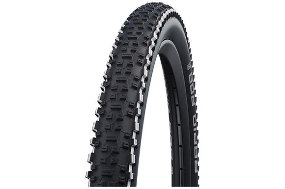 SCHWALBE picture