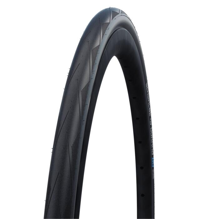 SCHWALBE picture