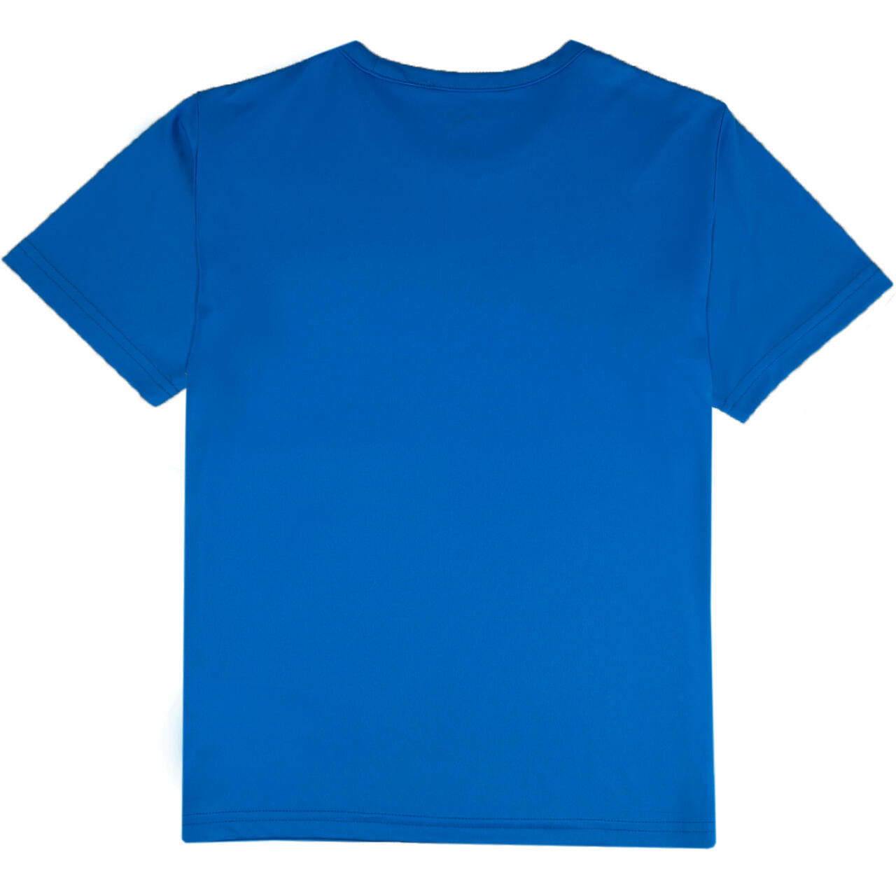 Camisola infantil Puma teamRISE Matchday 3/5