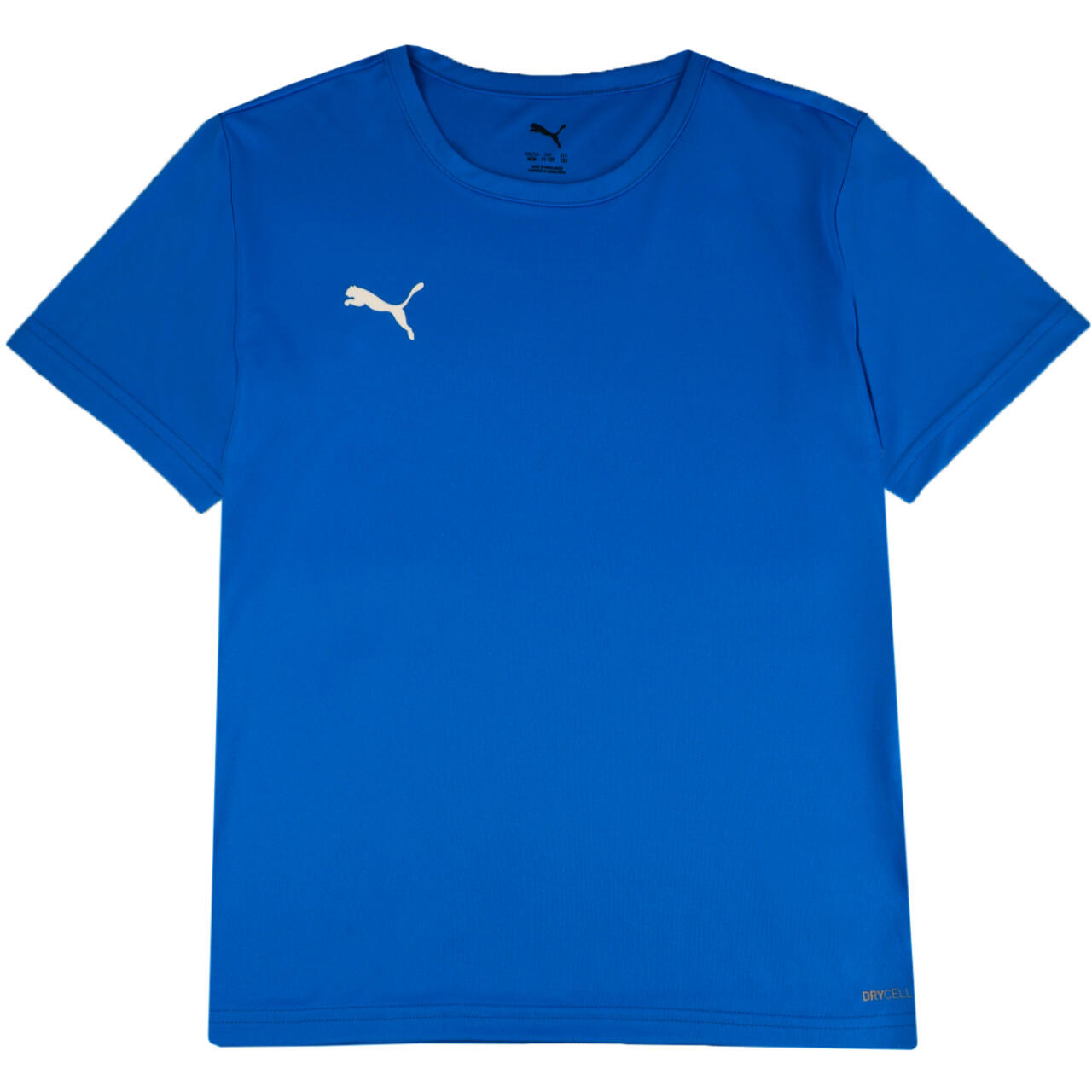 Camisola infantil Puma teamRISE Matchday 2/5
