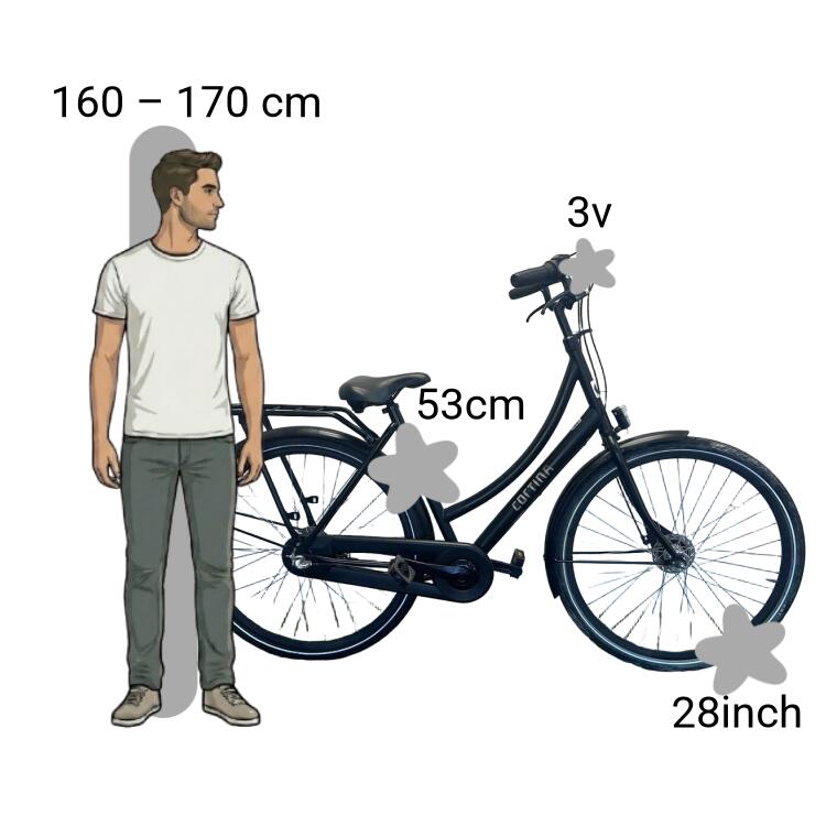 Bicicletta usata Cortina U1 2/4