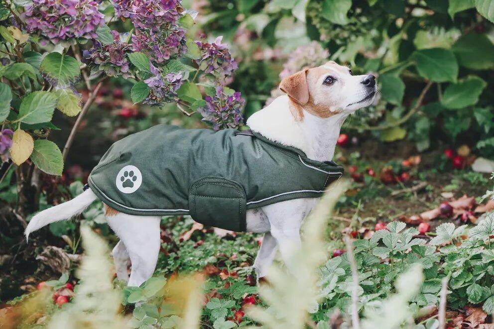 Manteau imperméable pour chien 300g  - Kentucky 3/6
