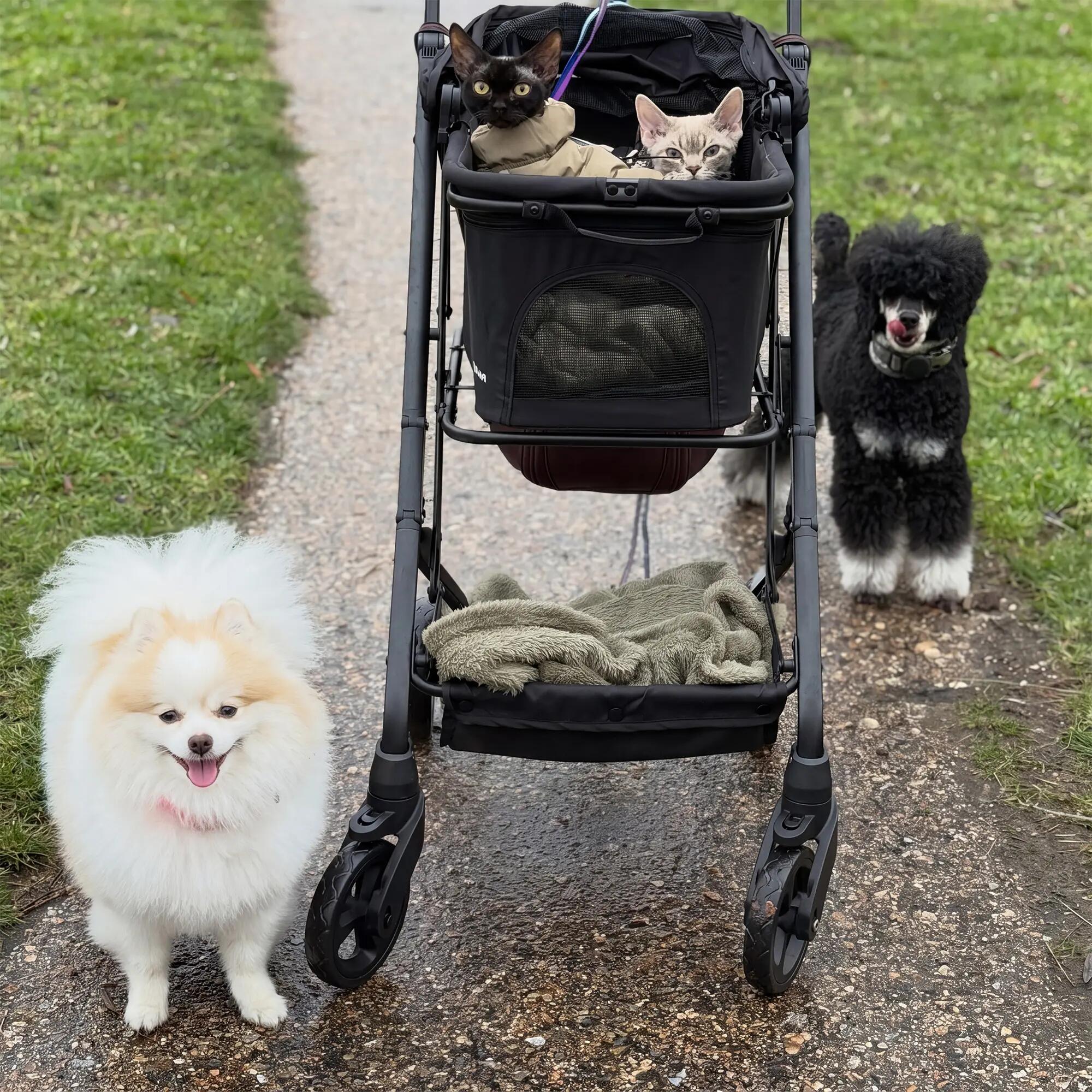 Luxe Collapsible Dog Stroller - Pet pram - Black 5/8