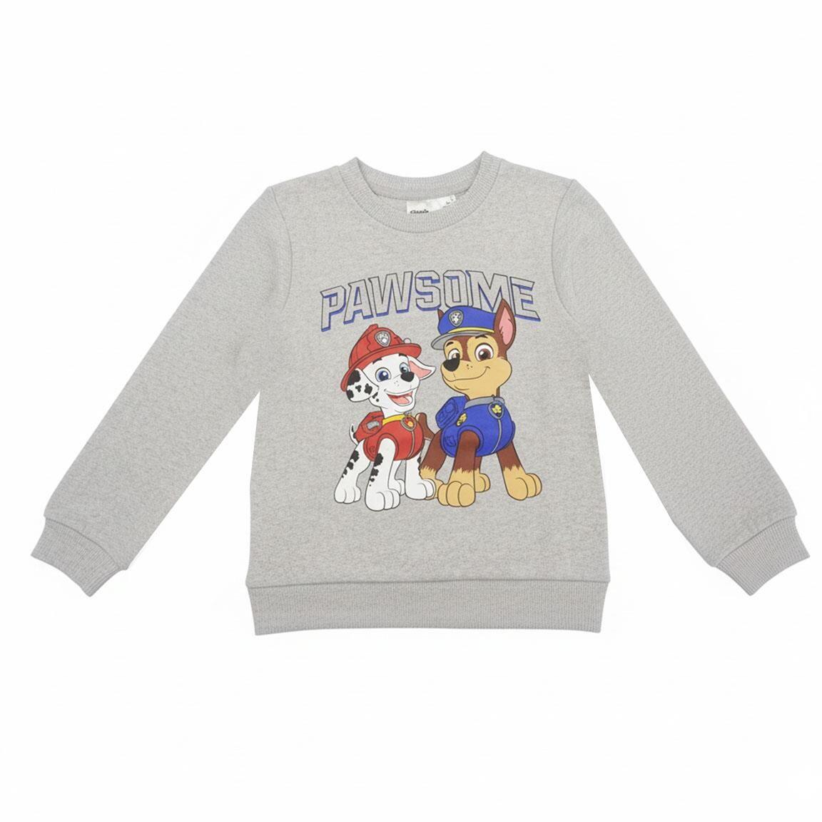 PAW PATROL picture