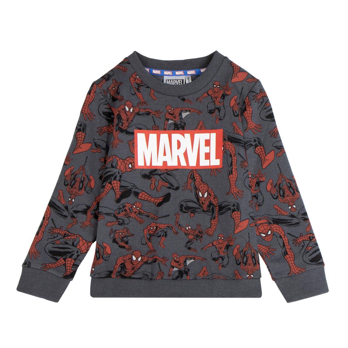 SPIDERMAN picture
