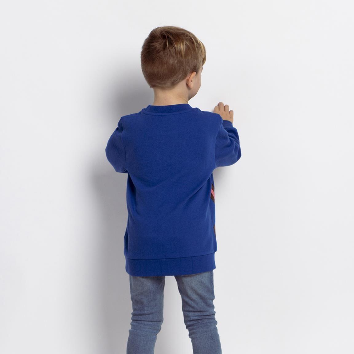 Sudadera Infantil PAW Patrol de Algodón Suave con Interior Cepillado Azul 5/5