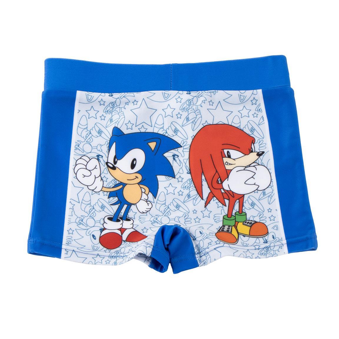 SONIC THE HEDGEHOG picture