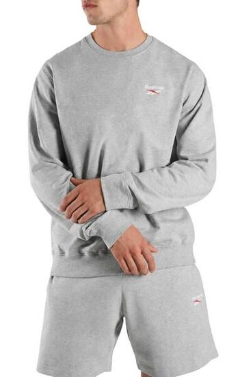 REEBOK – Herren-Hoodie mit kleinem Logo, Größe: XL, Farbe: Grau