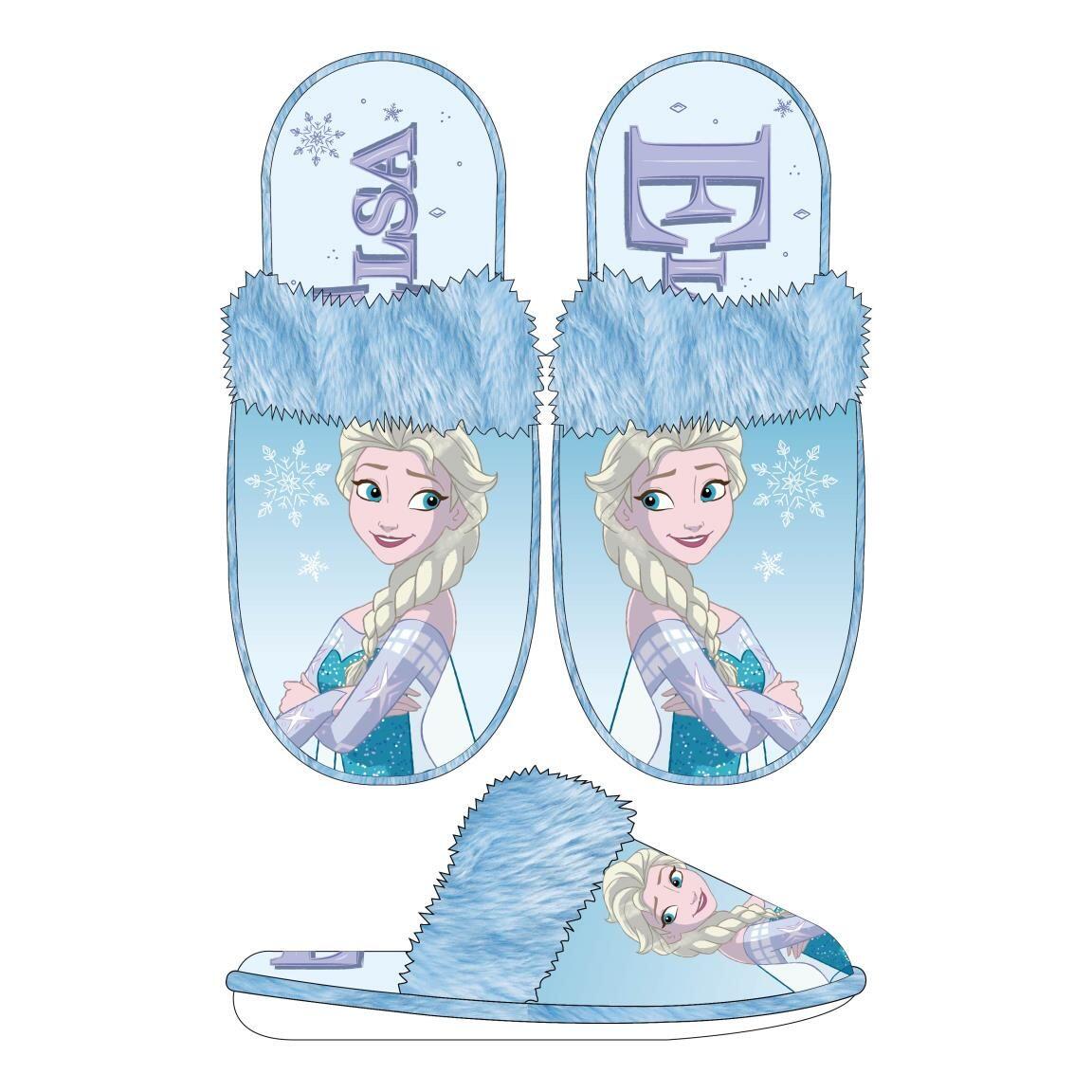 DISNEY FROZEN picture