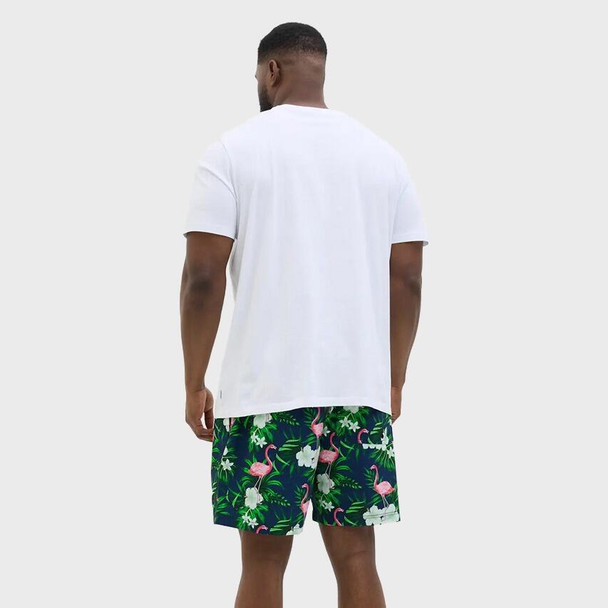 Heren Zwemshort Plus Size Novelty AOP Multi 4/4